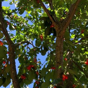 Meet your Posher, Danna